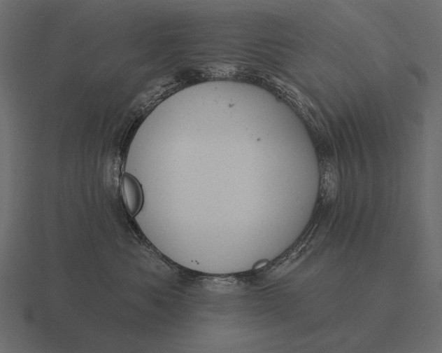 X0000116550525200912241558