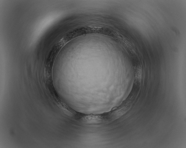 X0000116550526200912241558