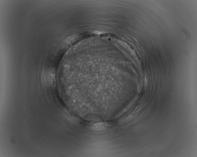 X0000116550527200912241558