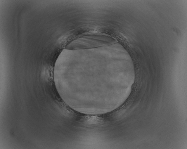 X0000116550528200912241558