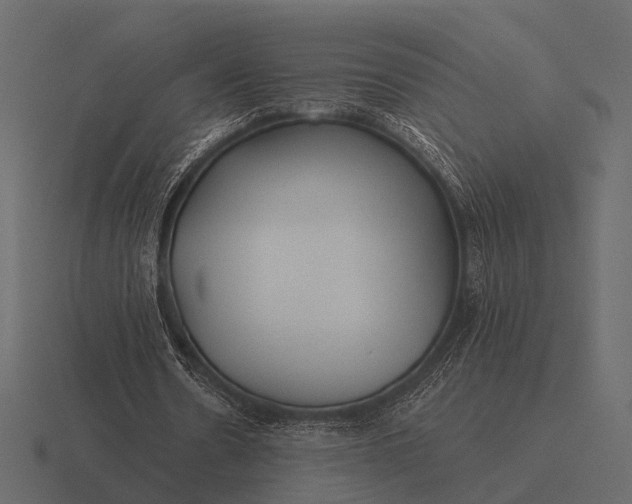 X0000116550530200912241557