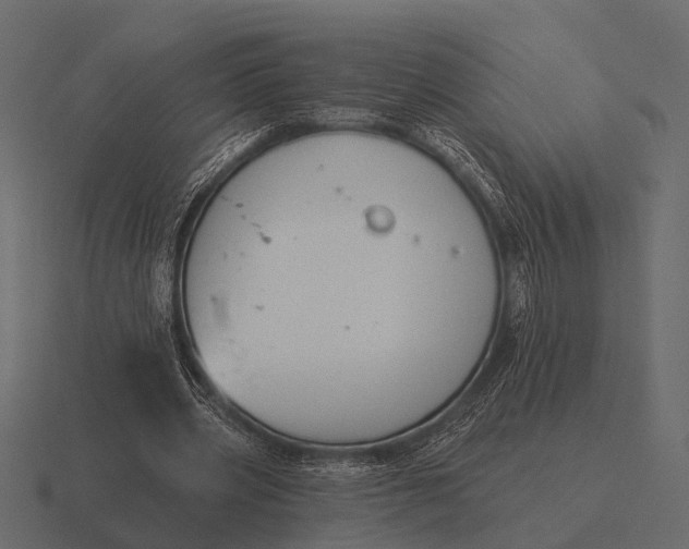 X0000116550533200912241557