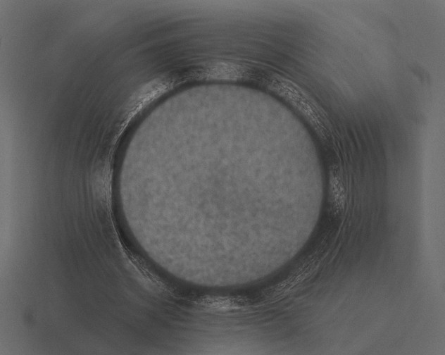 X0000116550534200912241557