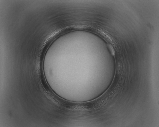 X0000116550535200912241557