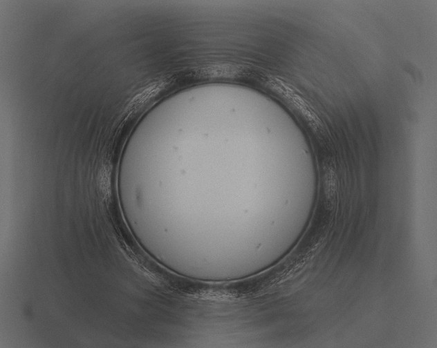 X0000116550537200912241557