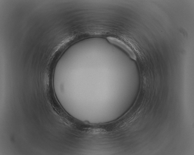 X0000116550539200912241557