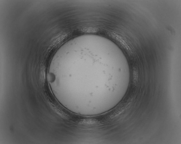 X0000116550541200912241557