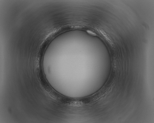 X0000116550543200912241557