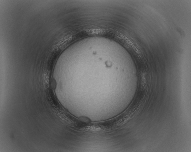 X0000116550545200912241557