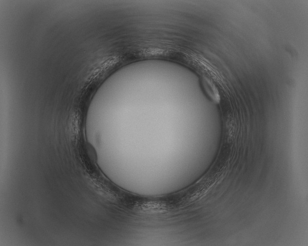 X0000116550546200912241557