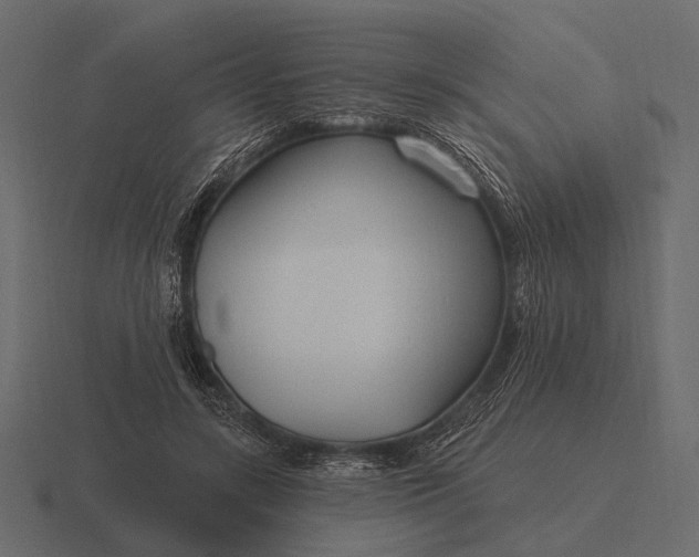 X0000116550547200912241557