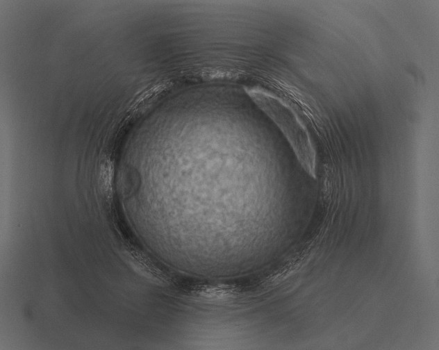 X0000116550550200912241557