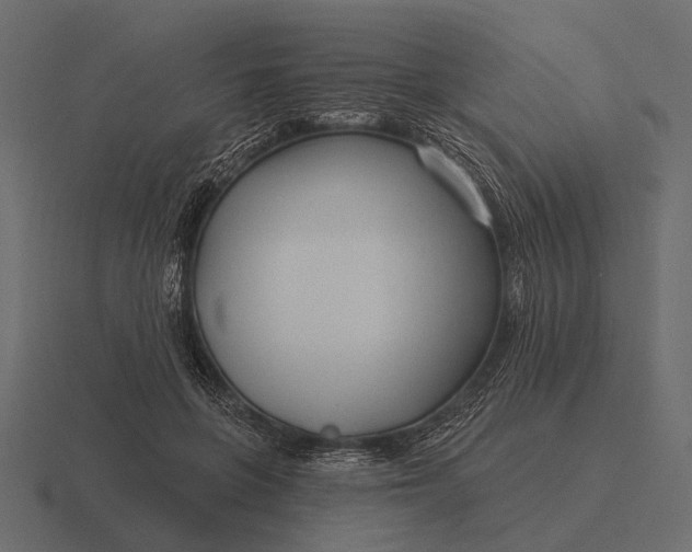 X0000116550551200912241557