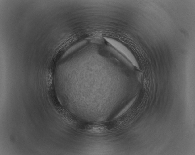 X0000116550555200912241557