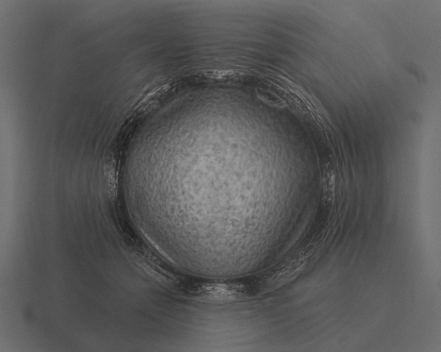 X0000116550558200912241557