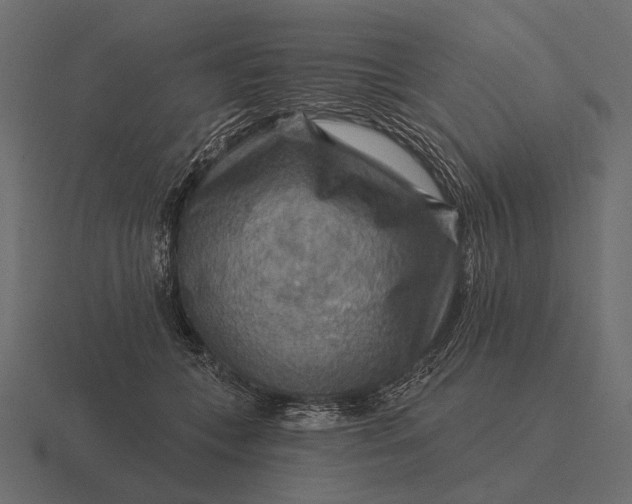 X0000116550559200912241557