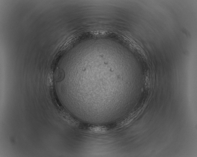 X0000116550561200912241557