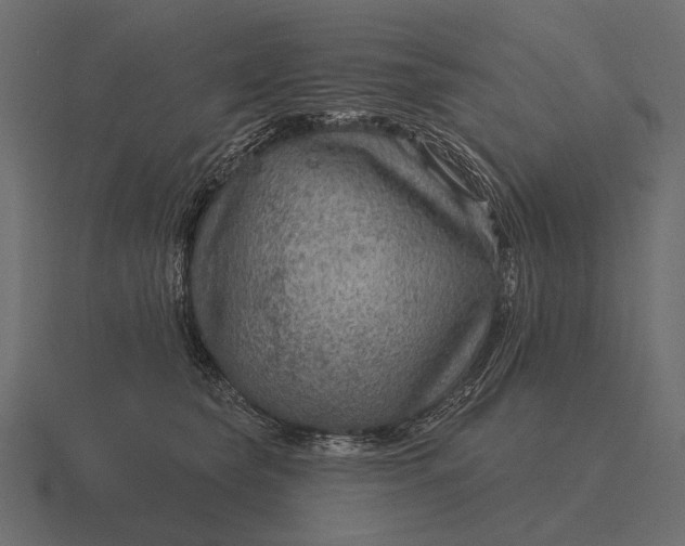 X0000116550565200912241557