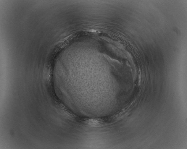 X0000116550566200912241557