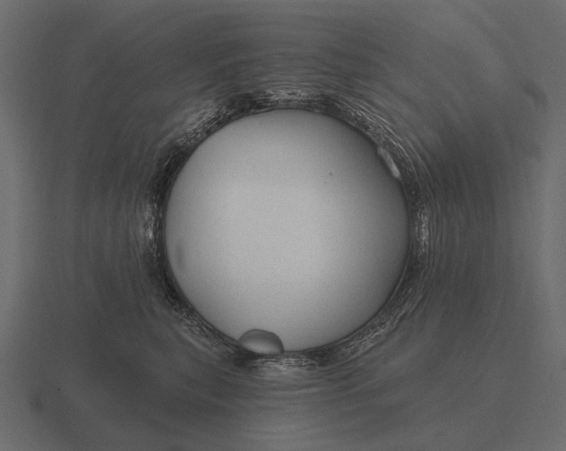 X0000116550567200912241557