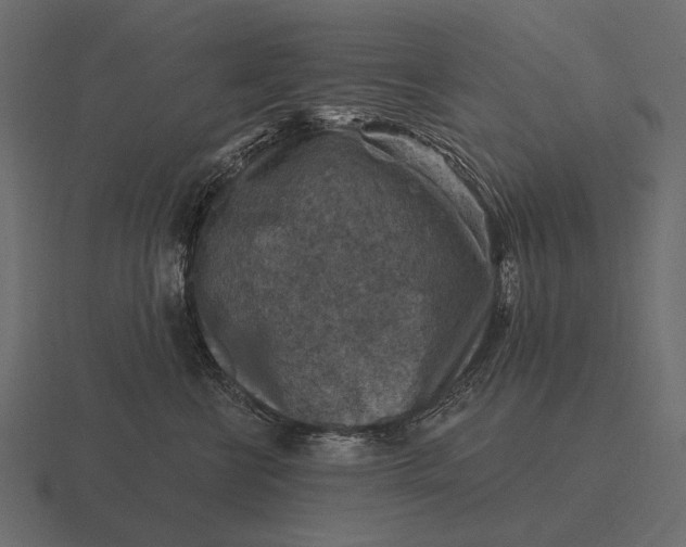 X0000116550570200912241557