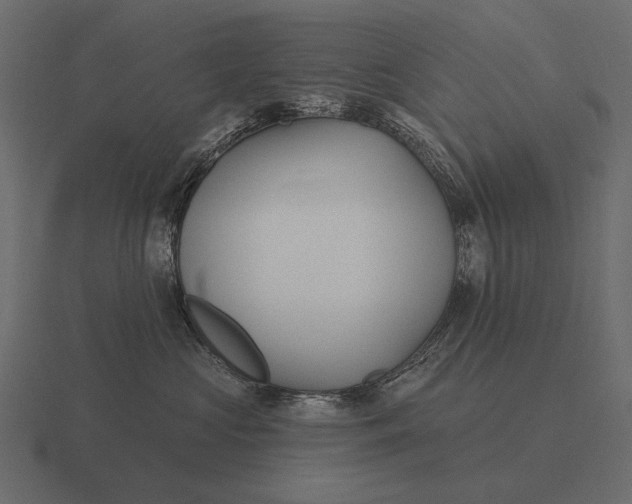 X0000116550573200912241558