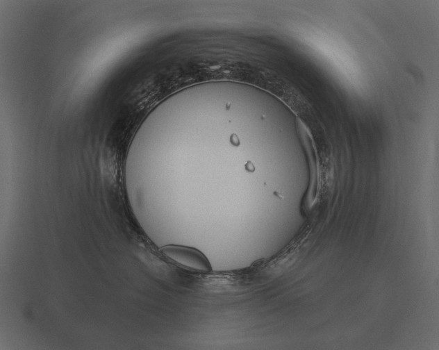 X0000116550574200912241558