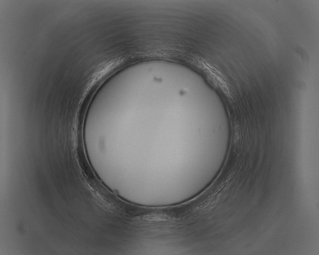 X0000116550578200912241557