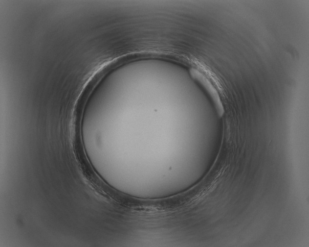 X0000116550580200912241557