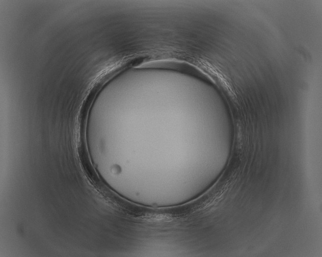 X0000116550582200912241557