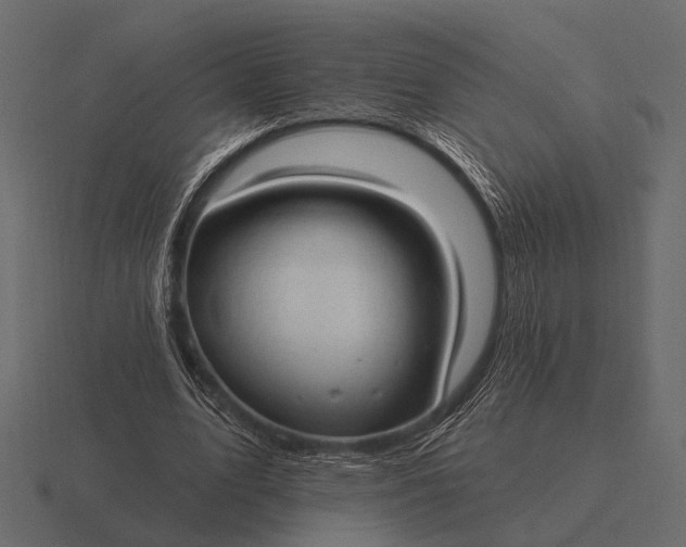 X0000116550583200912241557