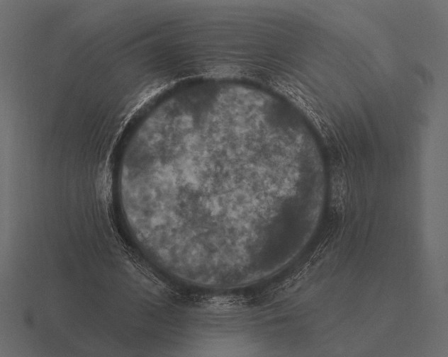 X0000116550584200912241557