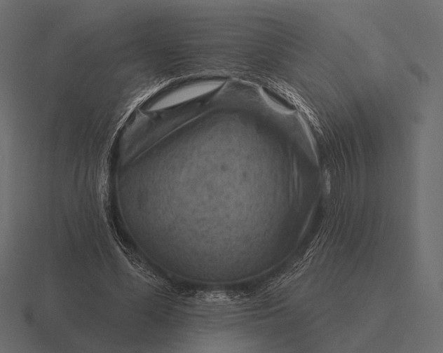 X0000116550588200912241557