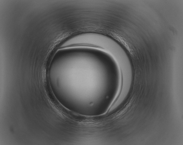 X0000116550589200912241557