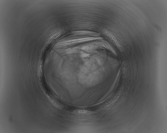 X0000116550590200912241557