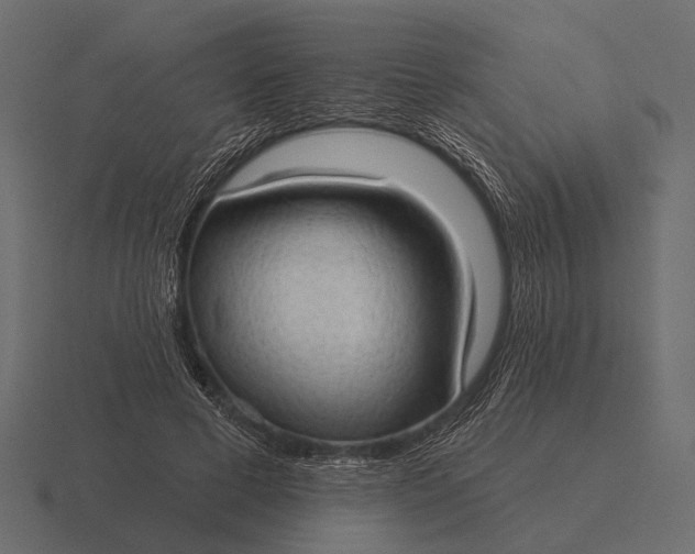 X0000116550593200912241557