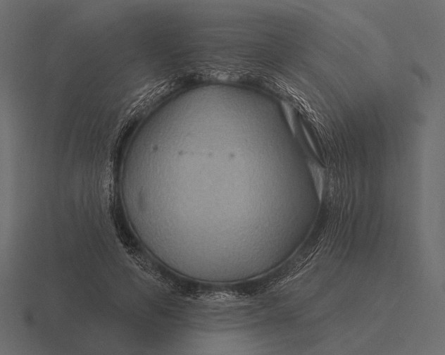 X0000116550594200912241557