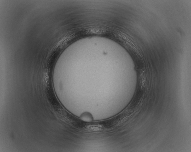 X0000116550595200912241557