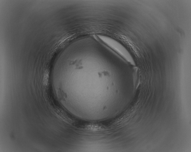 X0000116550596200912241557