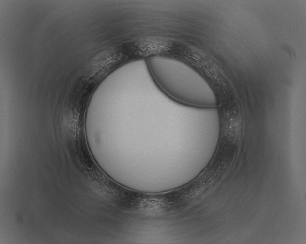 X0000116550599200912241557