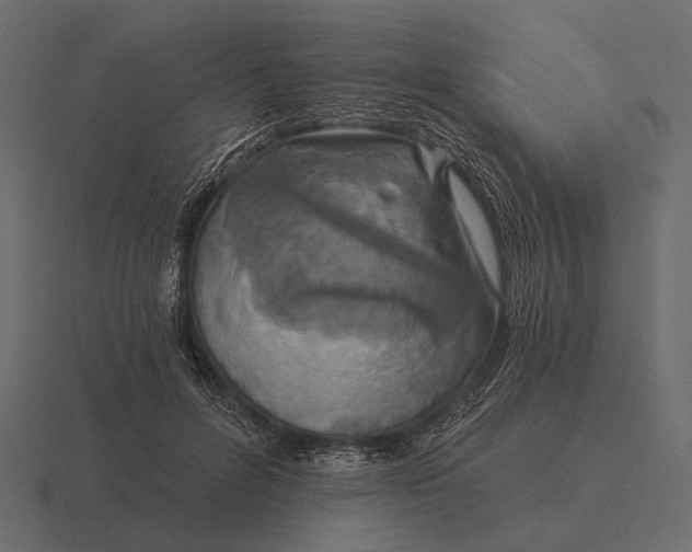 X0000116550600200912241557