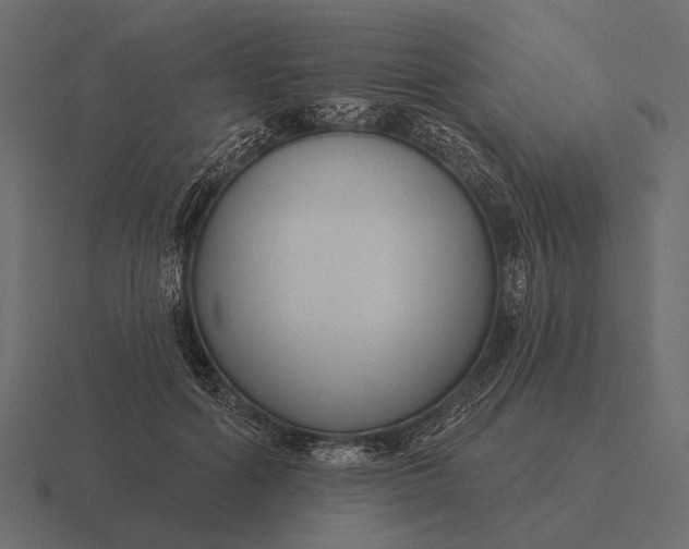 X0000116550602200912241557