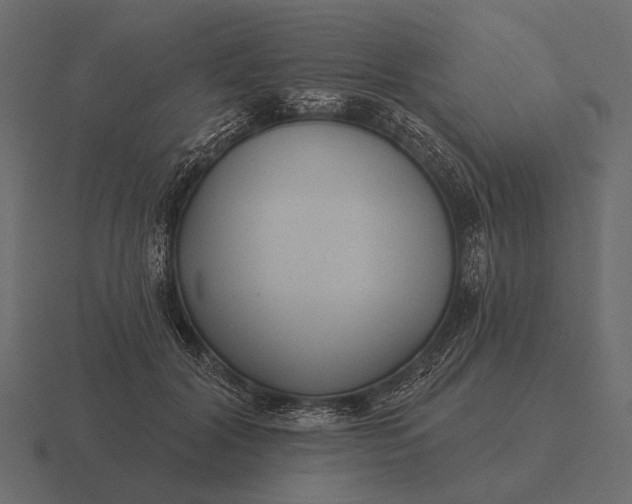 X0000116550604200912241557