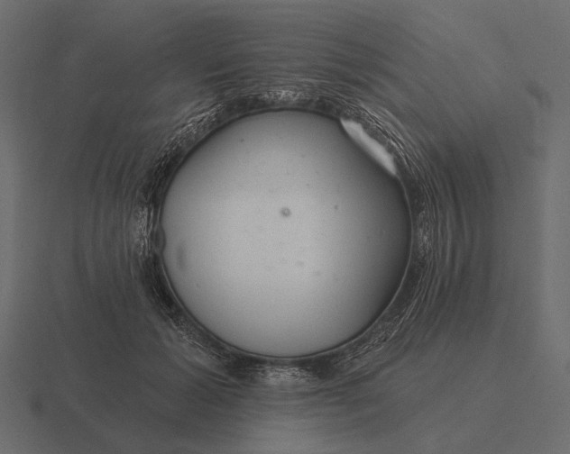 X0000116550605200912241557