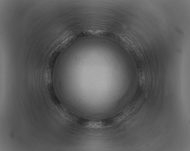 X0000116550606200912241557