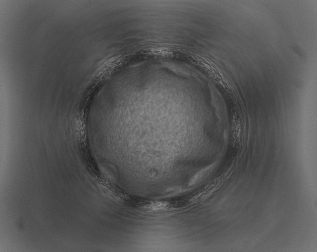 X0000116550609200912241557