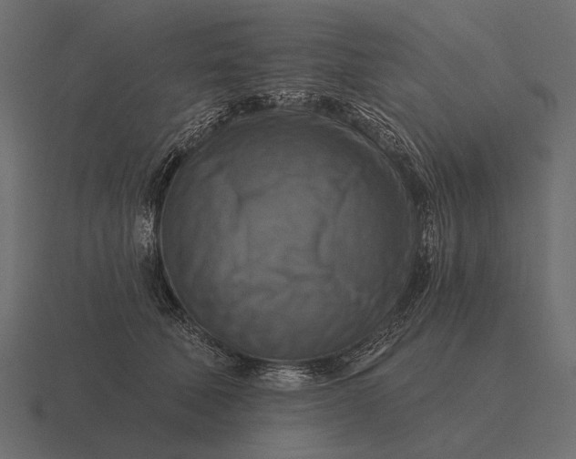 X0000116550610200912241557