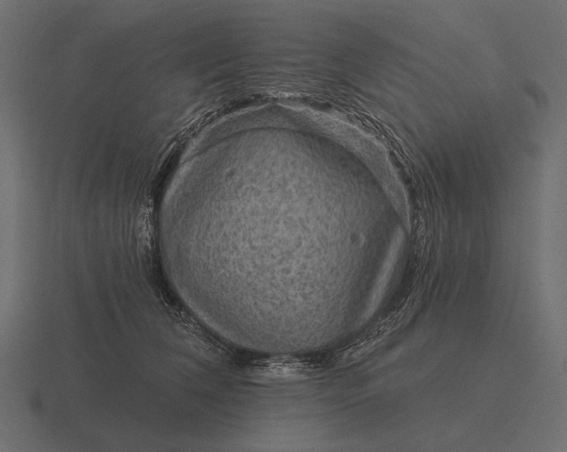 X0000116550612200912241556