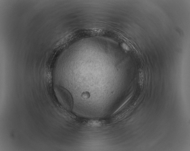 X0000116550613200912241556