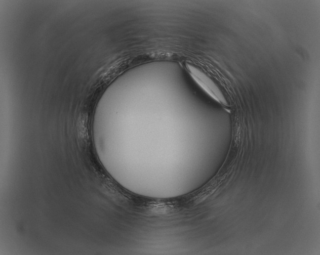 X0000116550616200912241556